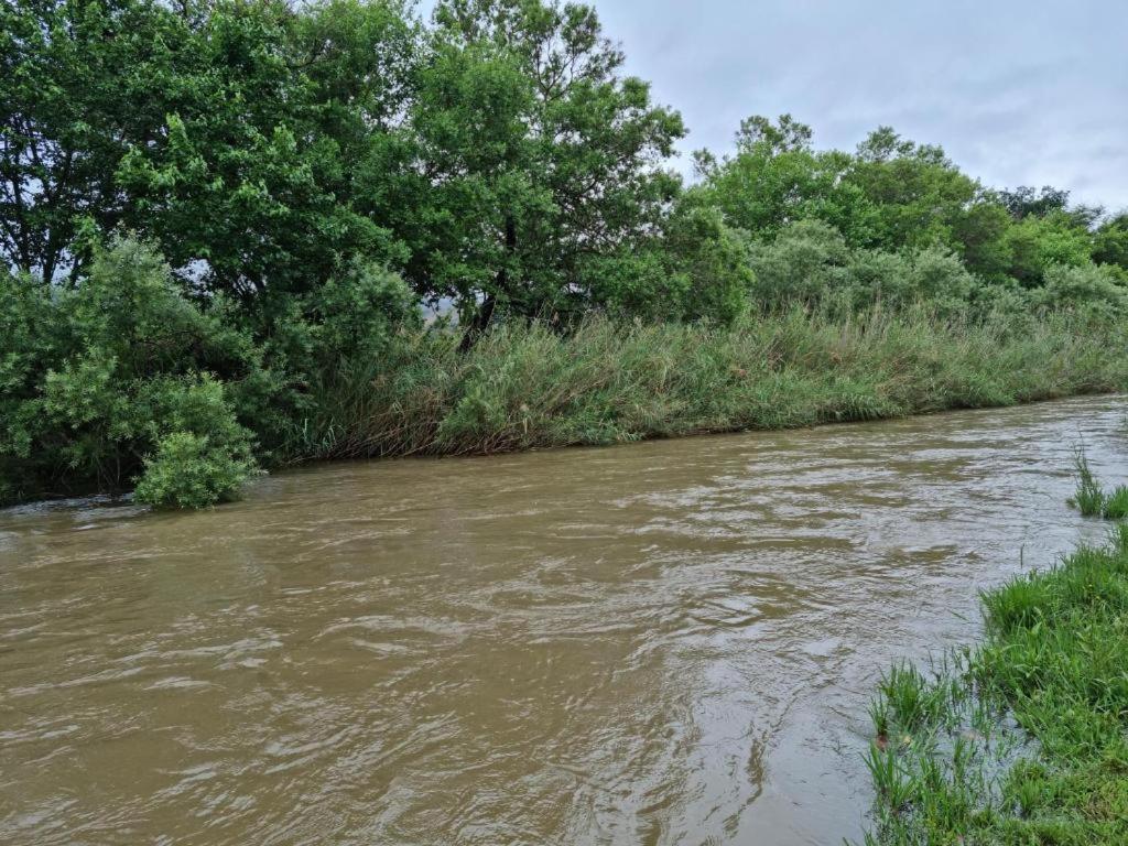 Crocodile Sands River Lodge Mbombela Eksteriør billede